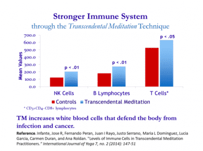 Does TM strengthen the immune system?